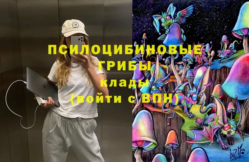 Галлюциногенные грибы Cubensis  Волосово 